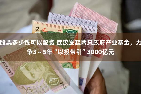 股票多少钱可以配资 武汉发起两只政府产业基金，力争3～5年“以投带引”3000亿元