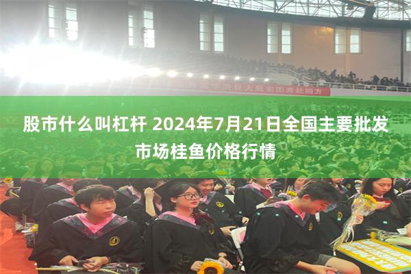 股市什么叫杠杆 2024年7月21日全国主要批发市场桂鱼价格行情