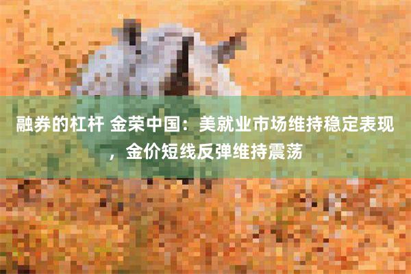 融券的杠杆 金荣中国：美就业市场维持稳定表现，金价短线反弹维持震荡