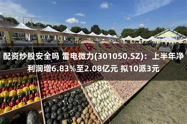 配资炒股安全吗 雷电微力(301050.SZ)：上半年净利润增6.83%至2.08亿元 拟10派3元