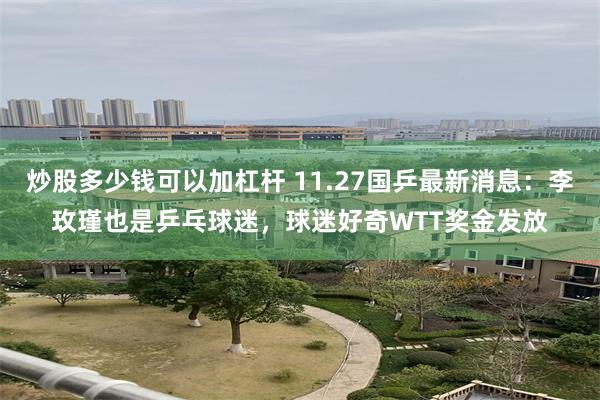 炒股多少钱可以加杠杆 11.27国乒最新消息：李玫瑾也是乒乓球迷，球迷好奇WTT奖金发放