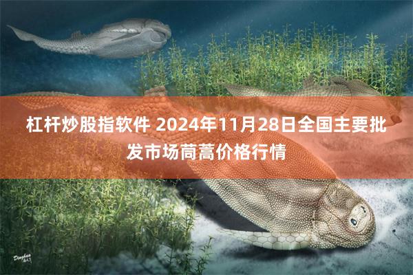 杠杆炒股指软件 2024年11月28日全国主要批发市场茼蒿价格行情