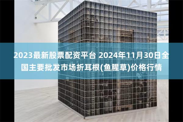 2023最新股票配资平台 2024年11月30日全国主要批发市场折耳根(鱼腥草)价格行情