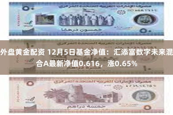 外盘黄金配资 12月5日基金净值：汇添富数字未来混合A最新净值0.616，涨0.65%