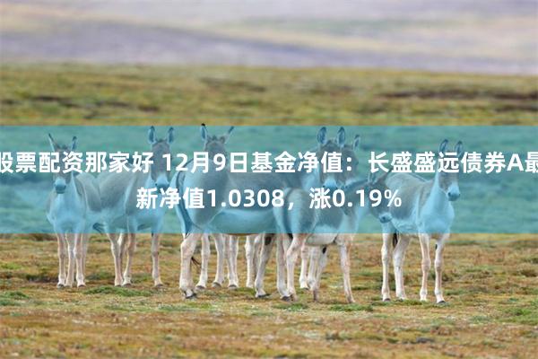 股票配资那家好 12月9日基金净值：长盛盛远债券A最新净值1.0308，涨0.19%