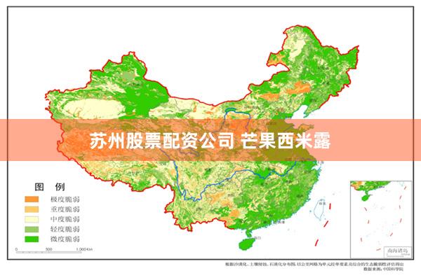 苏州股票配资公司 芒果西米露