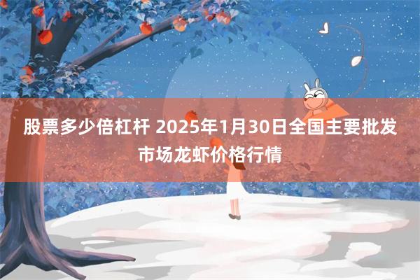 股票多少倍杠杆 2025年1月30日全国主要批发市场龙虾价格行情