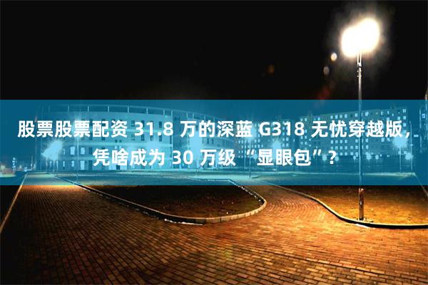 股票股票配资 31.8 万的深蓝 G318 无忧穿越版，凭啥成为 30 万级 “显眼包”？