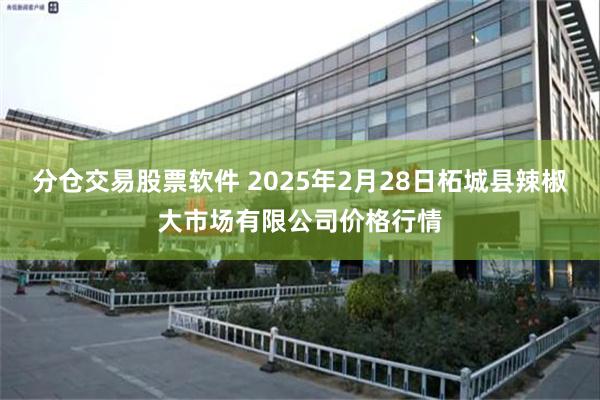 分仓交易股票软件 2025年2月28日柘城县辣椒大市场有限公司价格行情