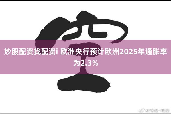 炒股配资找配资i 欧洲央行预计欧洲2025年通胀率为2.3%